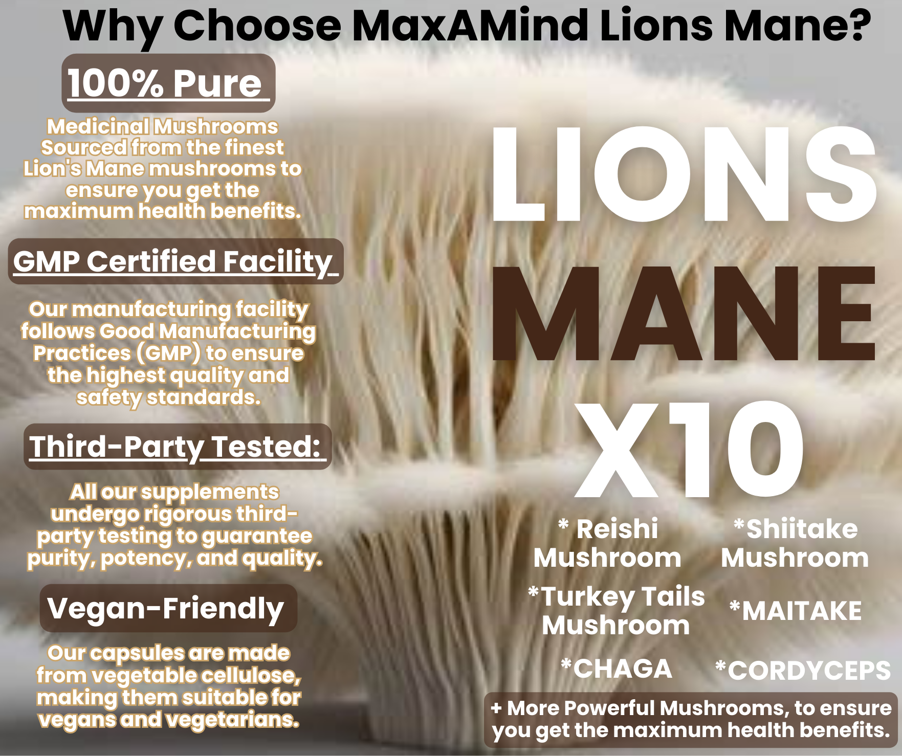 Lion's Mane Mushroom Supplement + Reishi Extract, Shiitake Extract Mushrooms, A Perfect Proprietary Blend