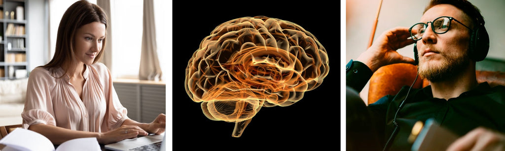 Lion's Mane Mushroom Supplement + Reishi Extract, Shiitake Extract Mushrooms, A Perfect Proprietary Blend