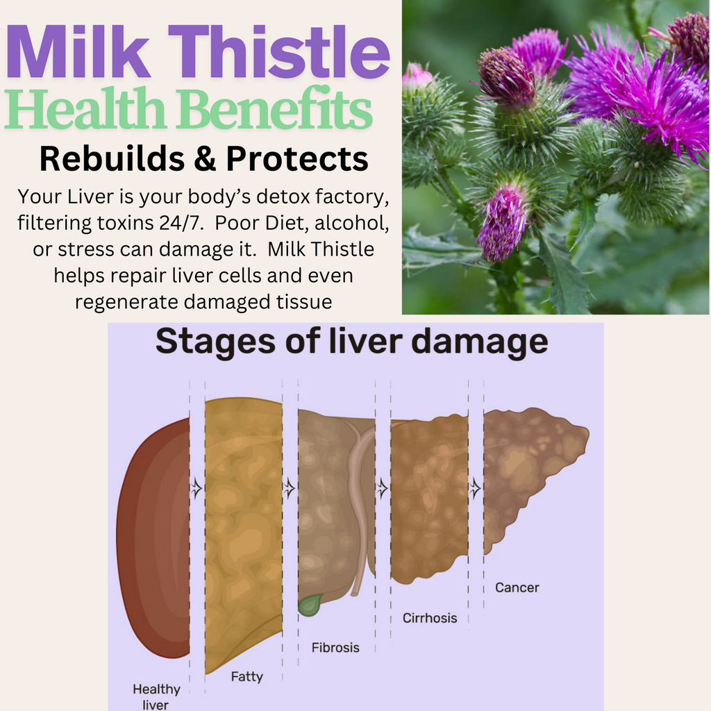 Milk Thistle Liver Support, Fortified With Dandelion, Beet Root, Artichoke