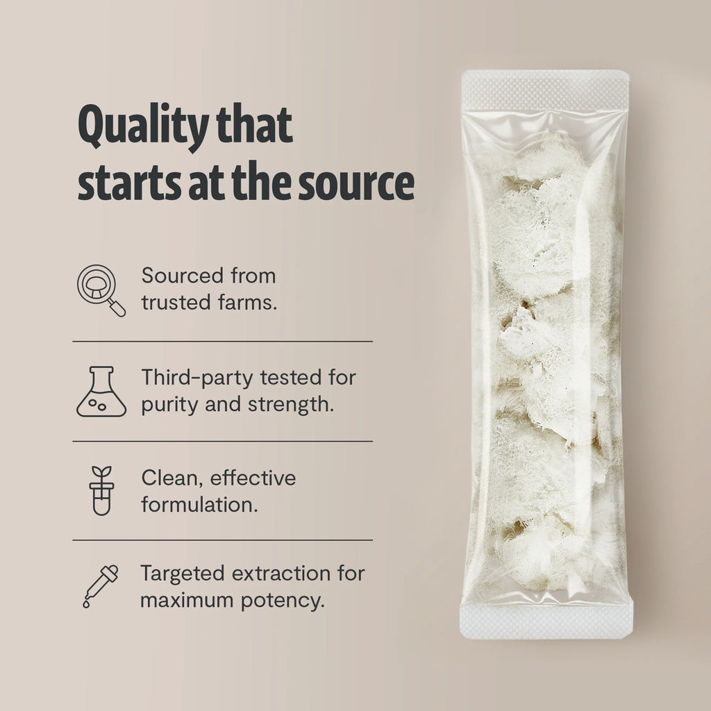 Lion's Mane Mushroom Extract Powder